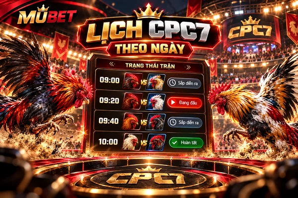 Bảng lịch đá gà CPC7 MUBET với bốn trận cách nhau 20 phút, hiển thị thời gian thi đấu và các trạng thái sắp diễn ra, đang đấu, hoàn tất.