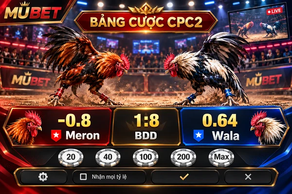 Bảng lựa chọn và tỷ lệ cược đá gà CPC2 MUBET với hai chiến kê, ba cửa Meron, BDD, Wala và các mức chip cược.
