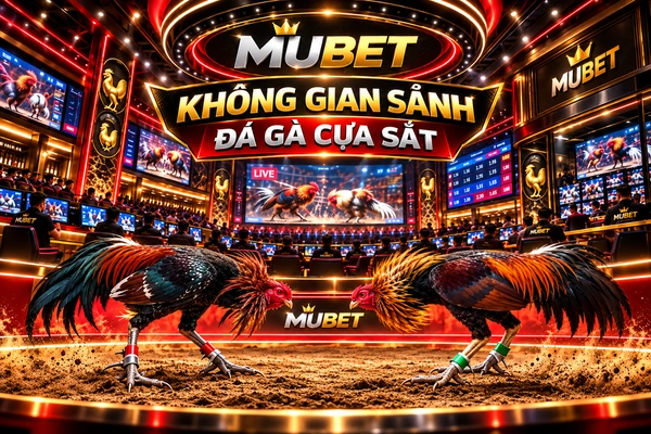 Không gian sảnh đá gà cựa sắt MUBET với hai chiến kê trong đấu trường hiện đại
