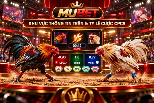 Khu Vực Thông Tin Trận Và Tỷ Lệ Cược CPC9 MUBET Khu vực thông tin trận đá gà CPC9 MUBET với hai chiến kê, bảng tỷ lệ cược Meron, BDD, Wala và giao diện phát sóng trực tiếp.