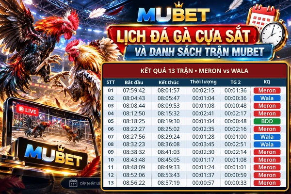Lịch đá gà cựa sắt MUBET với danh sách 13 trận Meron vs Wala và kết quả thi đấu