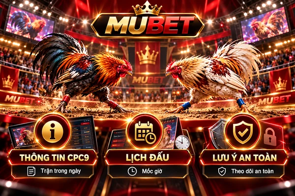Tổng Hợp Thông Tin CPC9, Lịch Đấu Và Lưu Ý An Toàn MUBET Tổng hợp thông tin CPC9 MUBET với hai chiến kê, lịch thi đấu đá gà trong ngày và các biểu tượng lưu ý an toàn.