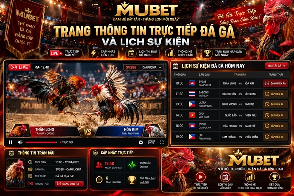 Trang thông tin trực tiếp đá gà MUBET với giao diện livestream, lịch sự kiện, thời gian thi đấu và trạng thái các trận đấu.